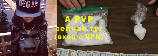 сатива Горняк