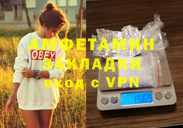 сатива Горняк
