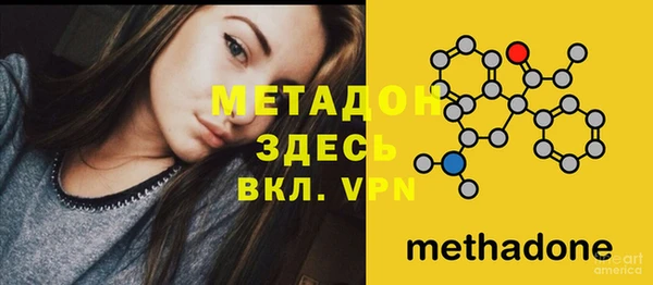 сатива Горняк
