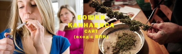 сатива Горняк