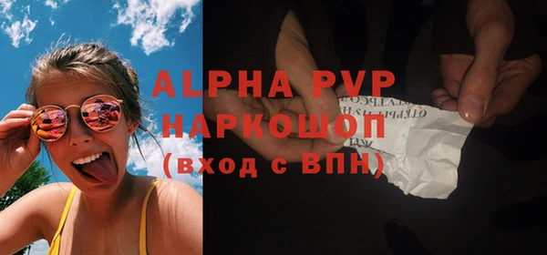 сатива Горняк