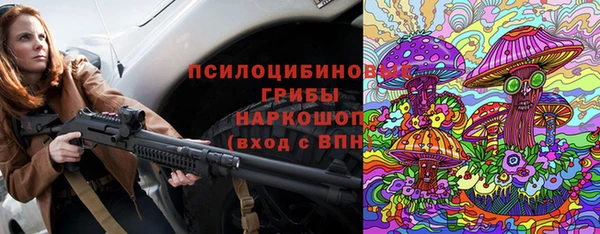 сатива Горняк