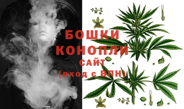 спиды Горно-Алтайск