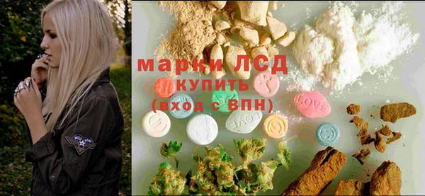 сатива Горняк