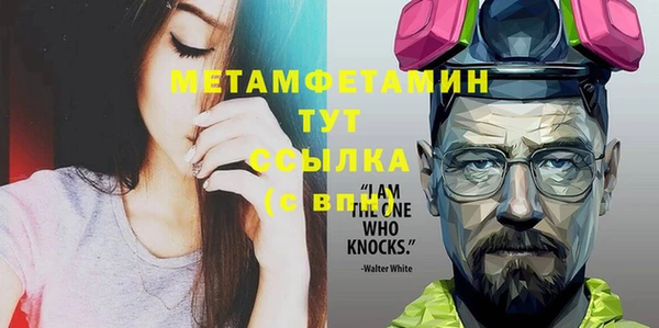 сатива Горняк
