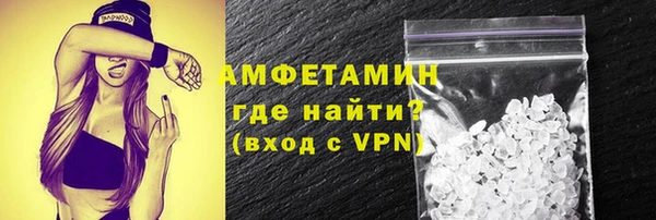 сатива Горняк