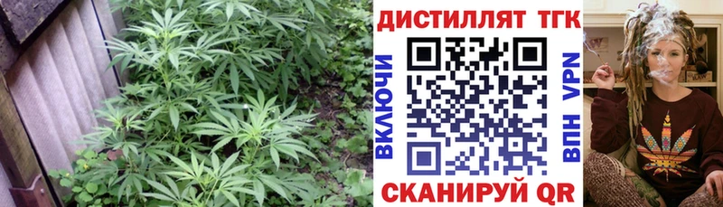 ТГК гашишное масло  Купить  Луга 