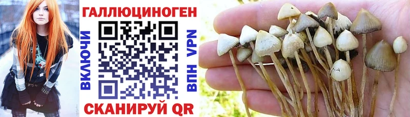 Галлюциногенные грибы Cubensis  Купить закладки  Луга 